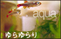 �������ꥦ�ࡦ���åԡ�