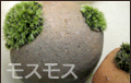 �ݤ�ú