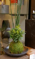 �ȥ����������饤�ʥ��㥹�ߥ�δ󤻿����ݶ�20090226���ᥤ��