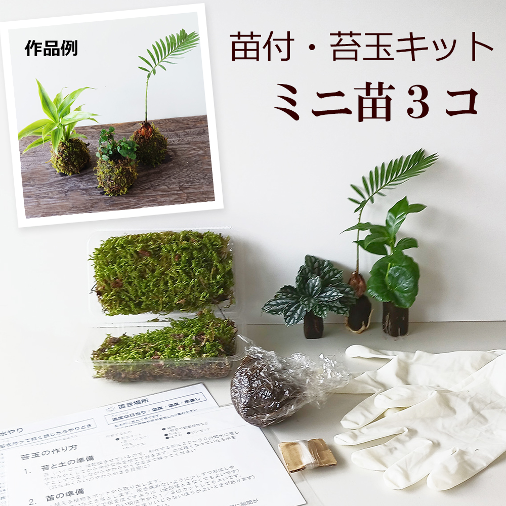 苔玉の作り方 材料