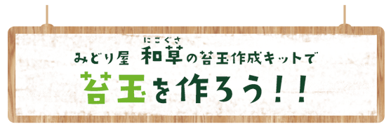 苔玉の作り方 材料