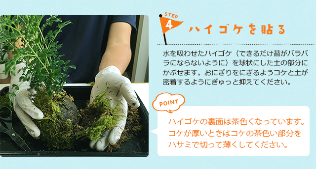 苔玉の作り方4
