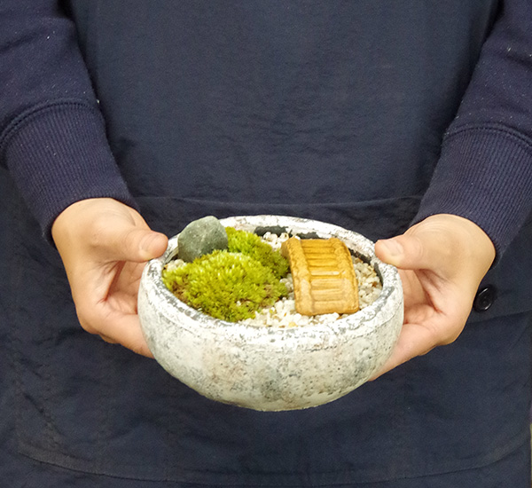 苔庭