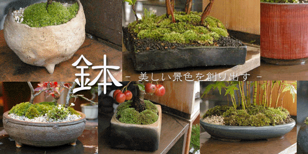 6,355円鉢　盆栽