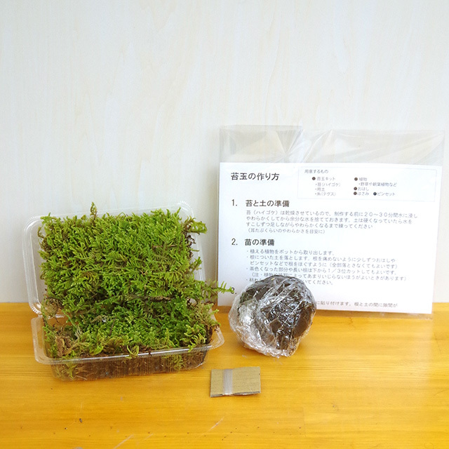 苔玉キット2016