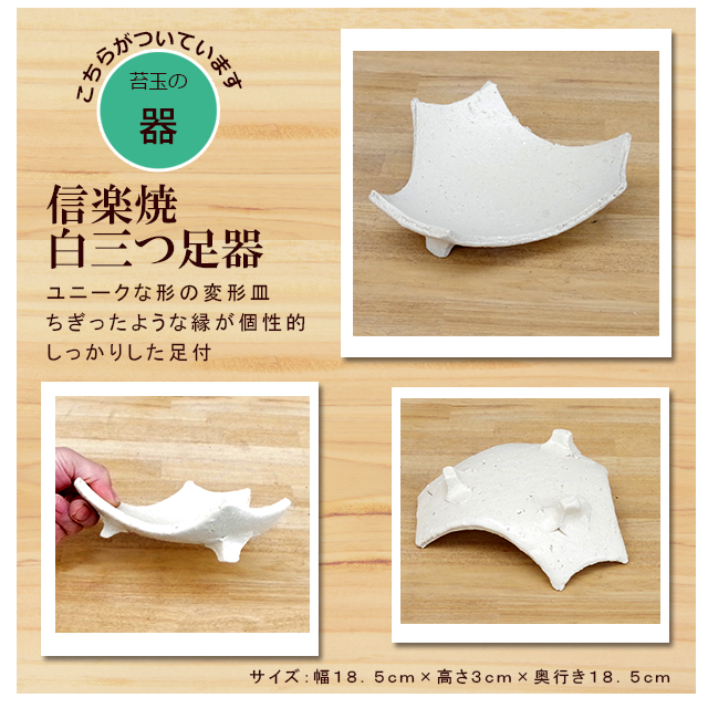 南天の苔玉